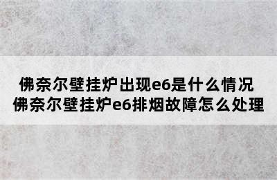 佛奈尔壁挂炉出现e6是什么情况 佛奈尔壁挂炉e6排烟故障怎么处理